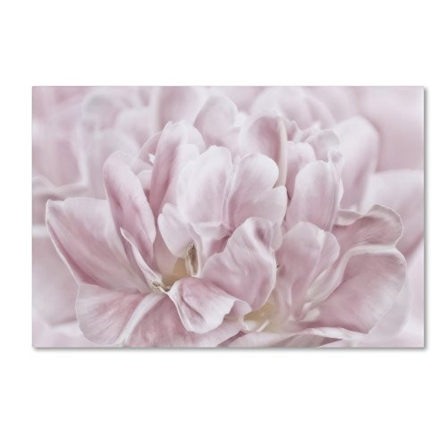 Trademark Fine Art Double Pink Tulip by Cora Niele, 12x19-Inch Canvas Wall Art Trademark Fine Art Double Pink Tulip by Cora Niele, 12x19-Inch Canvas Wall Art