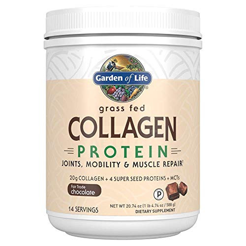 Garden of Life Grass Fed Collagen Protein Powder - Chocolate 14 Servings Collagen Powder for Joints Mobility Muscle Repair Collagen Peptides Super Seeds Coconut MCTs Keto Collagen Supplements Garden of Life Grass Fed Collagen Protein Powder - Chocolate 14 Servings Collagen Powder for Joints Mobility Muscle Repair Collagen Peptides Super Seeds Coconut MCTs Keto Collagen Supplements