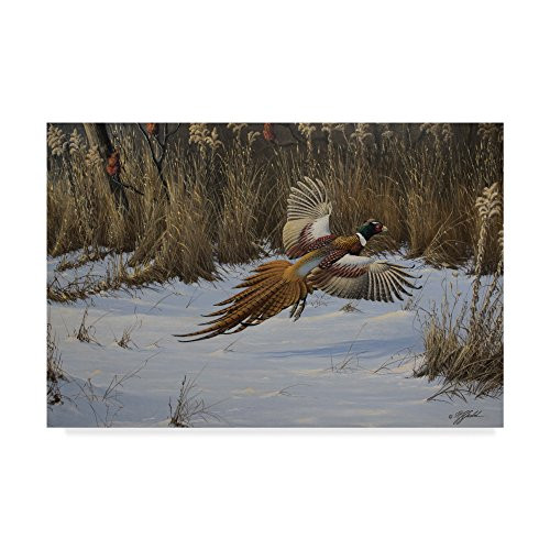 Landing Zone by Wilhelm Goebel  16x24-Inch