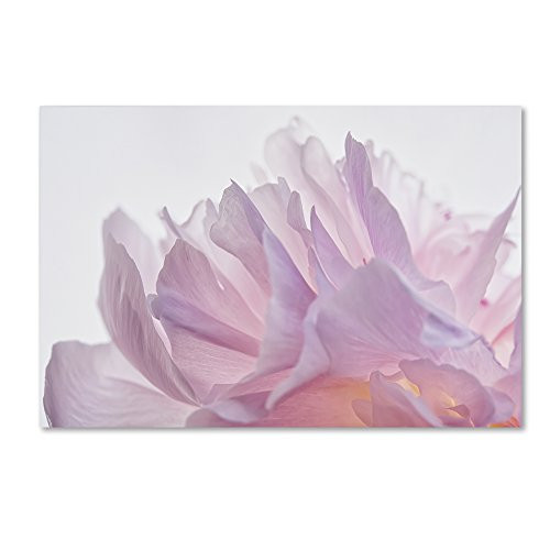 Trademark Fine Art Pink Peony Petals VI by Cora Niele, 12x19-Inch Canvas Wall Art Trademark Fine Art Pink Peony Petals VI by Cora Niele, 12x19-Inch Canvas Wall Art