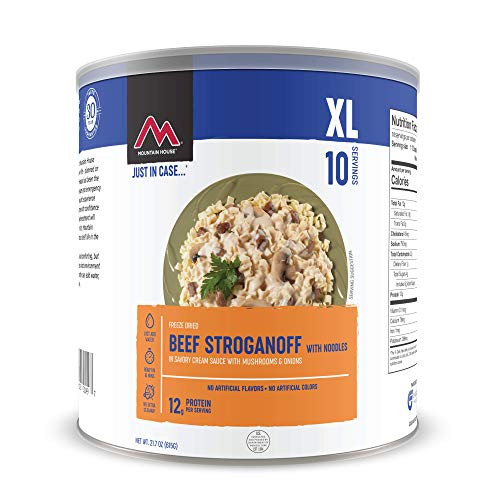 Mountain House Beef Stroganoff with Noodles   Freeze Dried Survival   Emergency Food    10 Can