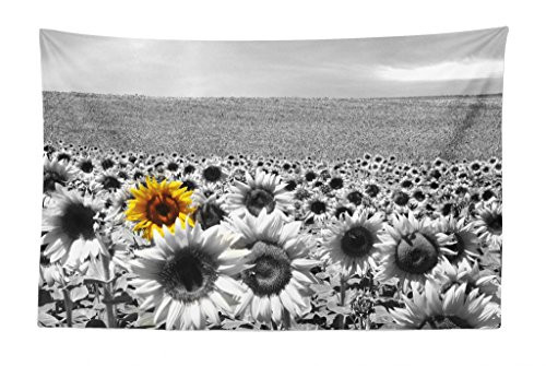 Lunarable Modern Tapestry, Sunflower Field Black and White with a Single Yellow Flower Spring Landscape Individuality, Fabric Wall Hanging Decor for Bedroom Living Room Dorm, 45 W X 30 L inches, Grey