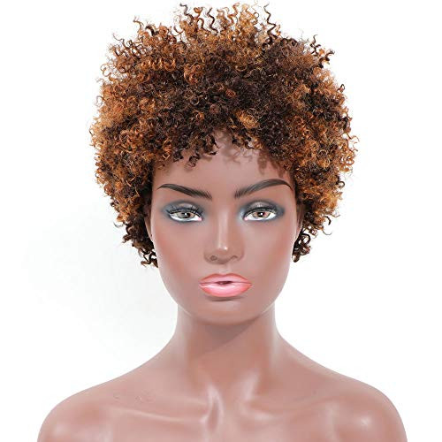 Ms Taj Short Afro Kinky Curly Human Hair Wigs for Black Women Brazilian Virgin Short Curly Afro Wigs None Lace 150  Density Unprocessed Afro Wig Human Hair Curly Machine Made DX 4-33-30