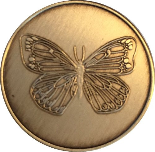 wendells Bulk Lot of 25 Butterfly Bronze Sobriety Medallions Serenity Prayer Chips
