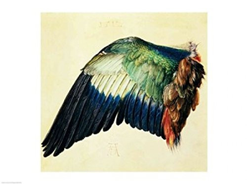 Posterazzi Wing of a Blue Roller 1512 Poster Print by Albrecht Durer (24 x 18) Posterazzi Wing of a Blue Roller 1512 Poster Print by Albrecht Durer (24 x 18)