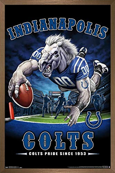 Trends International NFL Indianapolis Colts - End Zone 17 Wall Poster  22-375  x 34   Bronze Framed Version Trends International NFL Indianapolis Colts - End Zone 17 Wall Poster  22-375  x 34   Bronze Framed Version