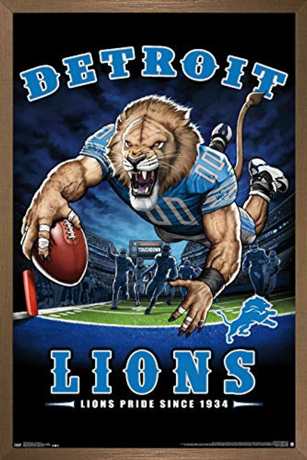 Trends International NFL Detroit Lions - End Zone 17 Wall Poster  22-375  x 34   Bronze Framed Version Trends International NFL Detroit Lions - End Zone 17 Wall Poster  22-375  x 34   Bronze Framed Version