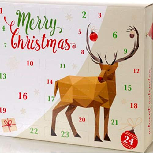 Adagio Advent Holiday Calendar for 2020 - Enjoy 24 Days of a Different Flavor Tea - Gourmet Sachet Pyramid Teabags