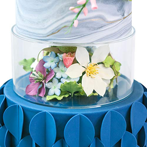Lacupella Acrylic Fillable Cake Pillar Stand  Raiser and Enhancer for Cake Display - 8 inch diameter