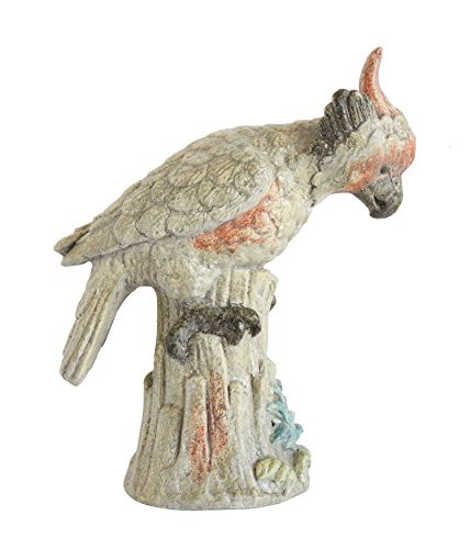 Creative Co-op Havana Magnesia Cockatoo with Distressed Finish 2 Piece