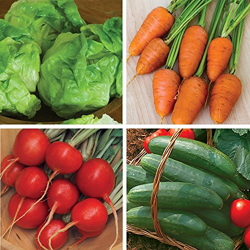 Burpee Salad Garden Collection Seeds 4 packets of seed.