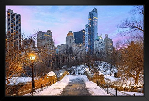 Manhattan New York City Skyline from Central Park Photo Art Print Black Wood Framed Poster 20x14