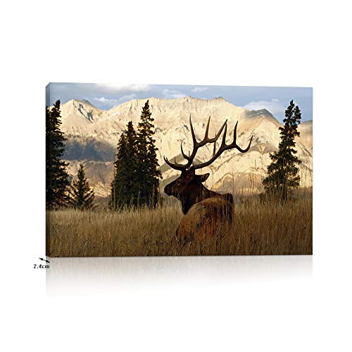 VVOVV Wall Decor Deer Pictures Elk Wall Art Wildlife Animal Painting Art Print on Canvas Stretched Framed Ready to Hang 16"x24"