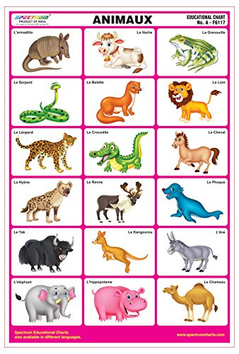 Spectrum French Language Animals Name Laminated Pre-Primary Kids Learning Wall Chart