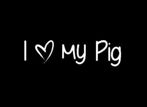 LLI I Love My Pig - Decal Vinyl Sticker - Cars Trucks Vans Walls Laptop - White -5 5 x 1 5 in - LLI900 LLI I Love My Pig - Decal Vinyl Sticker - Cars Trucks Vans Walls Laptop - White -5 5 x 1 5 in - LLI900