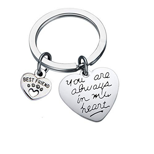 FUSTMW Pet Dog Memorial Gifts You are Always in My Heart Paw Prints Keychain Pet Sympathy Gift -Silver-