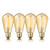 4-Pack Edison Bulb  DecorStar Edison Light Bulbs  Antique Vintage Squirrel Cage Filament Bulb  60W  110V  E26  2200K Amber Warm  230 Lumens  ST64 Dimm