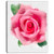 Design Art Big Pink Rose Flower with Leaves Large Floral on Canvas Art Wall Photgraphy Artwork Print