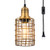 Topotdor Metal Cage Pendant Lighting with Plug in Cord Vintage Industrial Hanging Ceiling Lamp E26 Edison Plug in Light Fixture On-Off Switch -Matte G