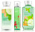 Bath and Body Works Cucumber Melon Gift Set  Body Lotion 8 Fl Oz  Shower Gel 10 Fl Oz  and Find Fragrance Mist 8 Fl Oz