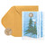 Papyrus Christmas Cards Boxed  Holiday Snowbird and Tree -20-Count-
