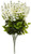 Admired by Nature GPB392-CREAM Artificial Wisteria Hanging Flowers Bush  Cream  15 Stem  C-Cream-392
