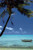 Buyartforless All Tied Up by Doug Cavanaugh 36x24 Art Print Poster Tropical Travel Poster Ocean Beach Boat
