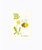 Sea Urchin Studio - B is for Bumblebee - ABC Alphabet Wall Art for Kids