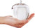 HandD HYALINE and DORA Crystal Glass Apple Paperweight -Clear- HandD HYALINE and DORA Crystal Glass Apple Paperweight -Clear-