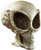 Design Toscano Extra-Terrestrial Alien Skull Statue