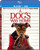 A Dogs Way Home -Blu-ray-