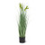 Abbott Collection Green Tail Grass in Pot (Large)