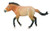 CollectA Przewalski Stallion