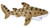 Wild Republic Leopard Shark plush  Stuffed Animal  Plush Toy  Gifts for Kids  Sea Critters 11 inches