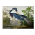 Louisiana Heron Artwork by John James Audubon, 18 by 24-Inch Canvas Wall Art