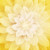 Hoffman Digital Dream Big 43in Floral Panel Honeysuckle Quilt Fabric