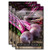 Sow Right Seeds - Detroit Dark Red Beet Seed for Planting - Non-GMO Heirloom Packet with Instructions to Plant a Home Vegetable Garden - Great Gardeni