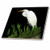 3dRose ct-24849-4 Digital Oil Painting White Egret in Grass-Ceramic Tile  12-Inch