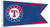 MLB Texas Rangers Boat and Golf Cart Flag