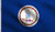 DMSE Virginia State Flag 3X5 Ft Foot 100 Polyester 100D Flag UV Resistant -3 X 5 Ft Foot-