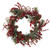 Nearly Natural 4838 Assorted Berry Wreath, 24-Inch, Red
