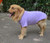 Lovelonglong 2019 Pet Clothing Dog Costumes Basic Blank T-Shirt Tee Shirts for Medium Large Dogs Violet XXL-