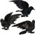 3 Pieces 13 Inches Realistic Crows Extra Large Handmade Black Feathered Crow Fly Crows Ravens for Halloween Decorations Birds