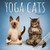 BrownTrout  2021 Yoga Cats Together Wall Calendar