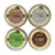 Heavenly Tea Leaves Tea Sampler  Black Tea  4 Count