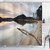 Ambesonne Driftwood Decor Shower Curtain  Landscape of Lake Shore with Dead Tree Trunk in The Water Digital Print  Fabric Bathroom Decor Set with Hook