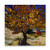 Trademark Fine Art Mulberry Tree  1889 by Vincent Van Gogh  White Metal Art 16x16  Multi-Color