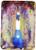 3dRose lsp-130412-1 Peacock Grunge Digital Art By Angelandspot Single Toggle Switch