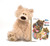 GUND Philbin Teddy Bear Stuffed Animal Plush  Beige  12 Gift Set