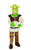 Shrek Childs Deluxe Costume And Mask  Shrek Costume